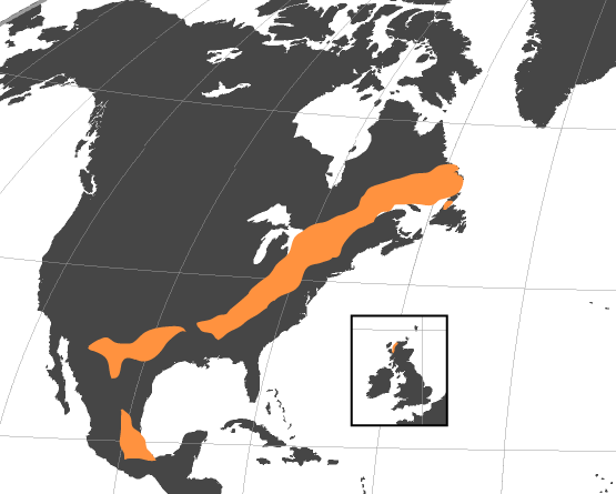 Grenville-Extent