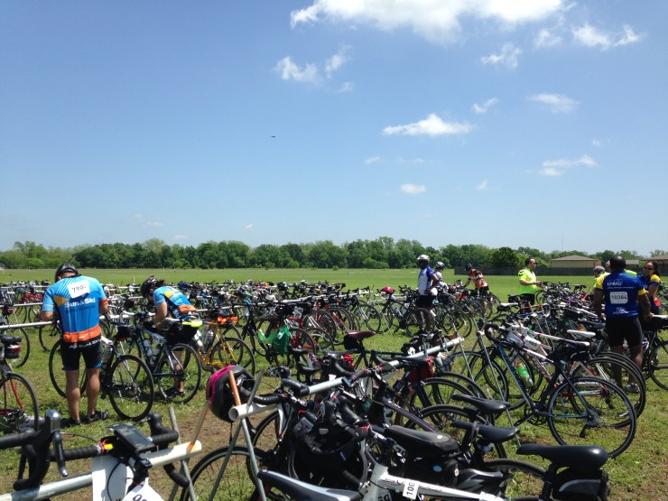 Lots of bikes on the rails at the lunch stop.