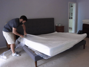 vlcsnap-2015-09-20-12h44m08s248