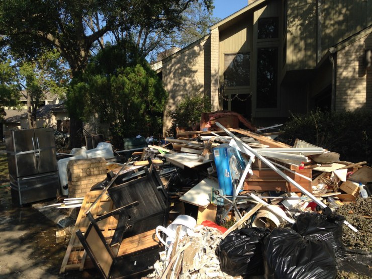 36342446154_71f65e350a_b