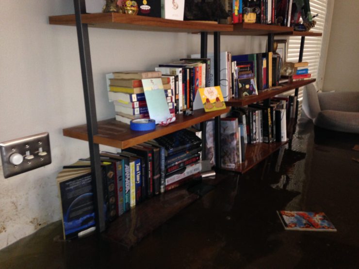 36406050084_c6b6a036be_b