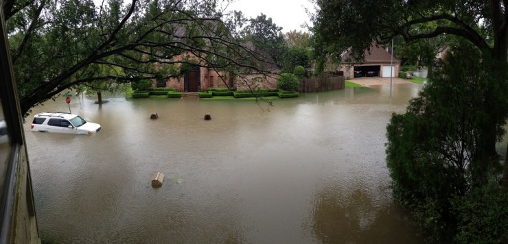 36699706382_dffb668a0e_b