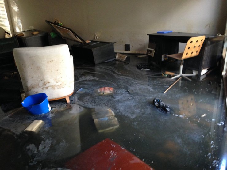 36760747510_2303b60e3d_b