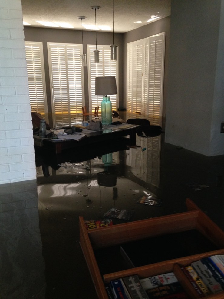 36839908212_35377c9569_b