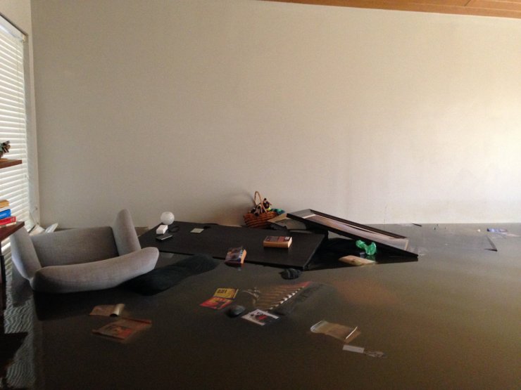 37053202516_c88fbe98cd_b