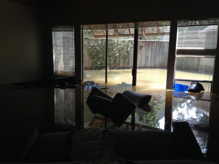 37243579155_bca74c73a2_b